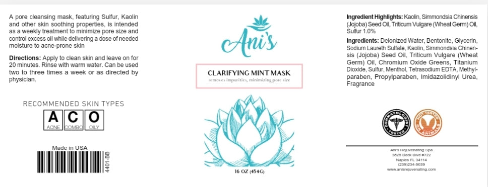 CLARIFYING MINT MASK